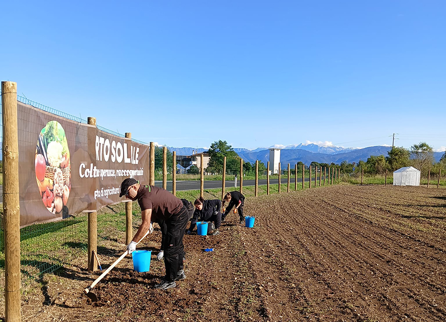 Inserimento lavorativo grazie all’agricoltura sociale