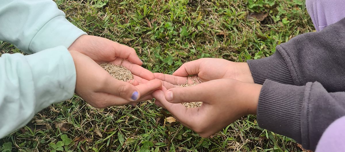 Un orto per i bambini di Vedano Olona